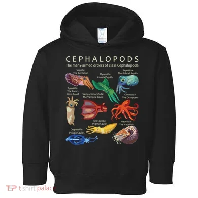 Toddler Hoodie
