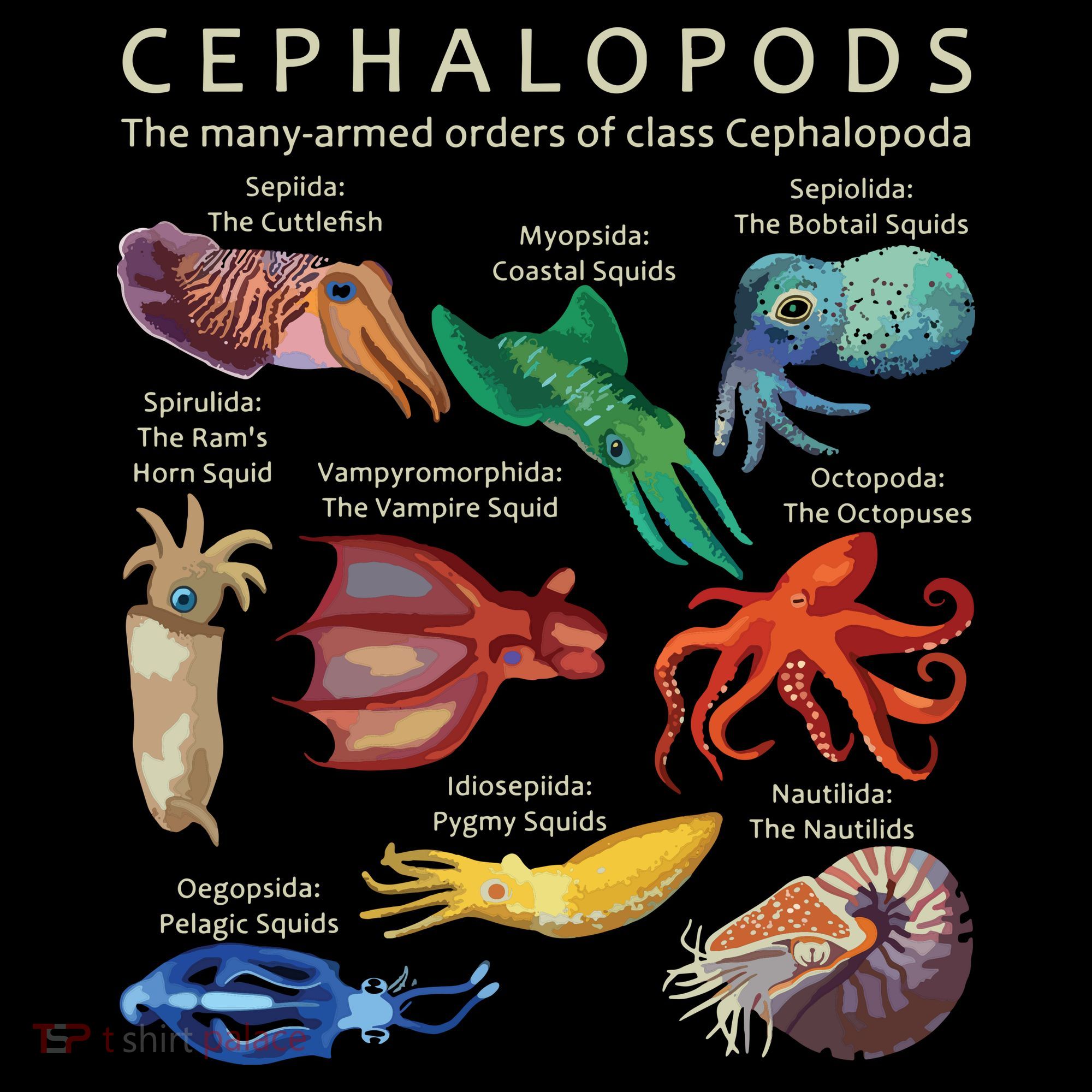 The Cephalopod Octopus Squid Cuttlefish And Nautilus Kids Hoodie