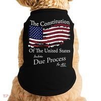 The Constitution Of The United States Due Process For All Doggie Tank thumb 0