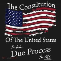 The Constitution Of The United States Due Process For All Women's Tank Top thumb 5