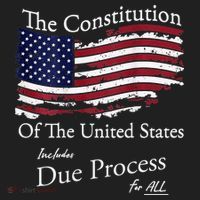 The Constitution Of The United States Due Process For All Hat thumb 2