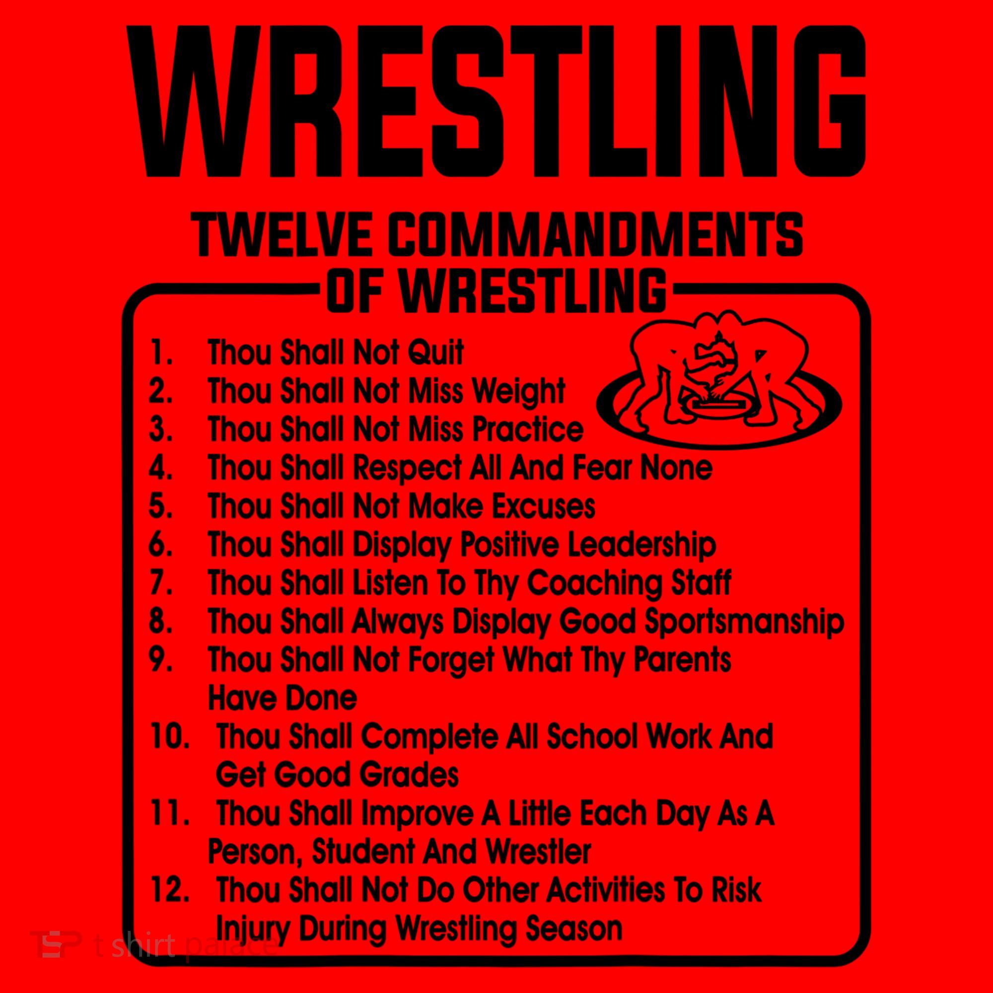 Twelve Commandments Of Wrestling TShirt Santa Hat
