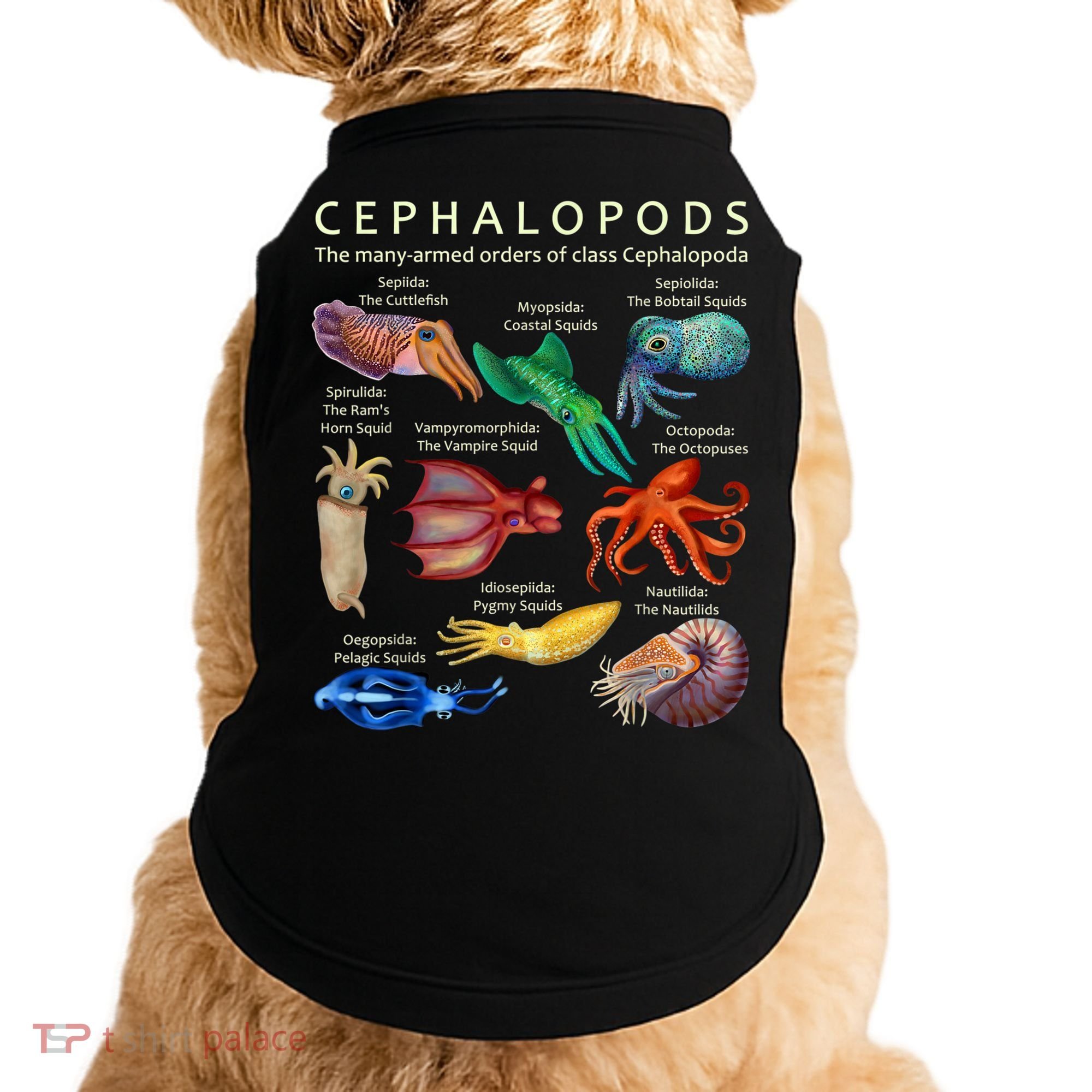 The Cephalopod: Octopus, Squid, Cuttlefish, And Nautilus Doggie Tank