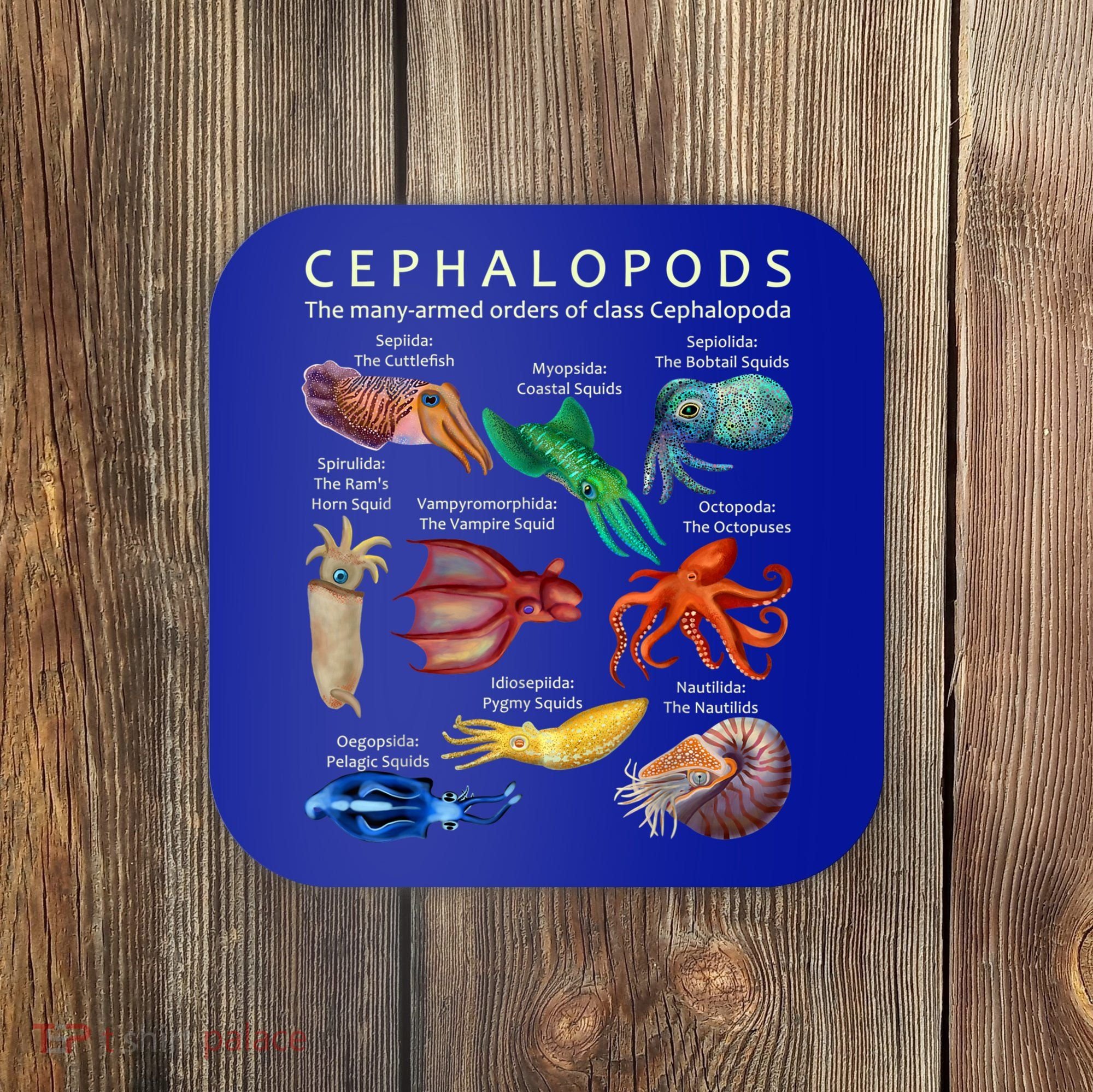 The Cephalopod: Octopus, Squid, Cuttlefish, And Nautilus Coaster