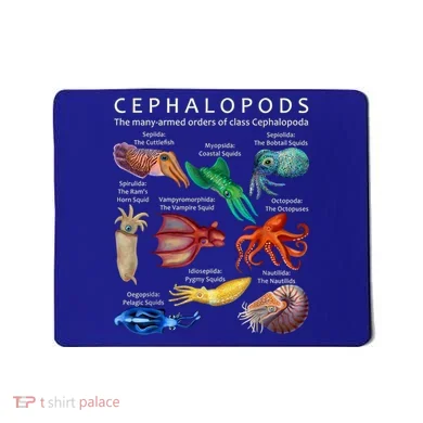 Mousepad