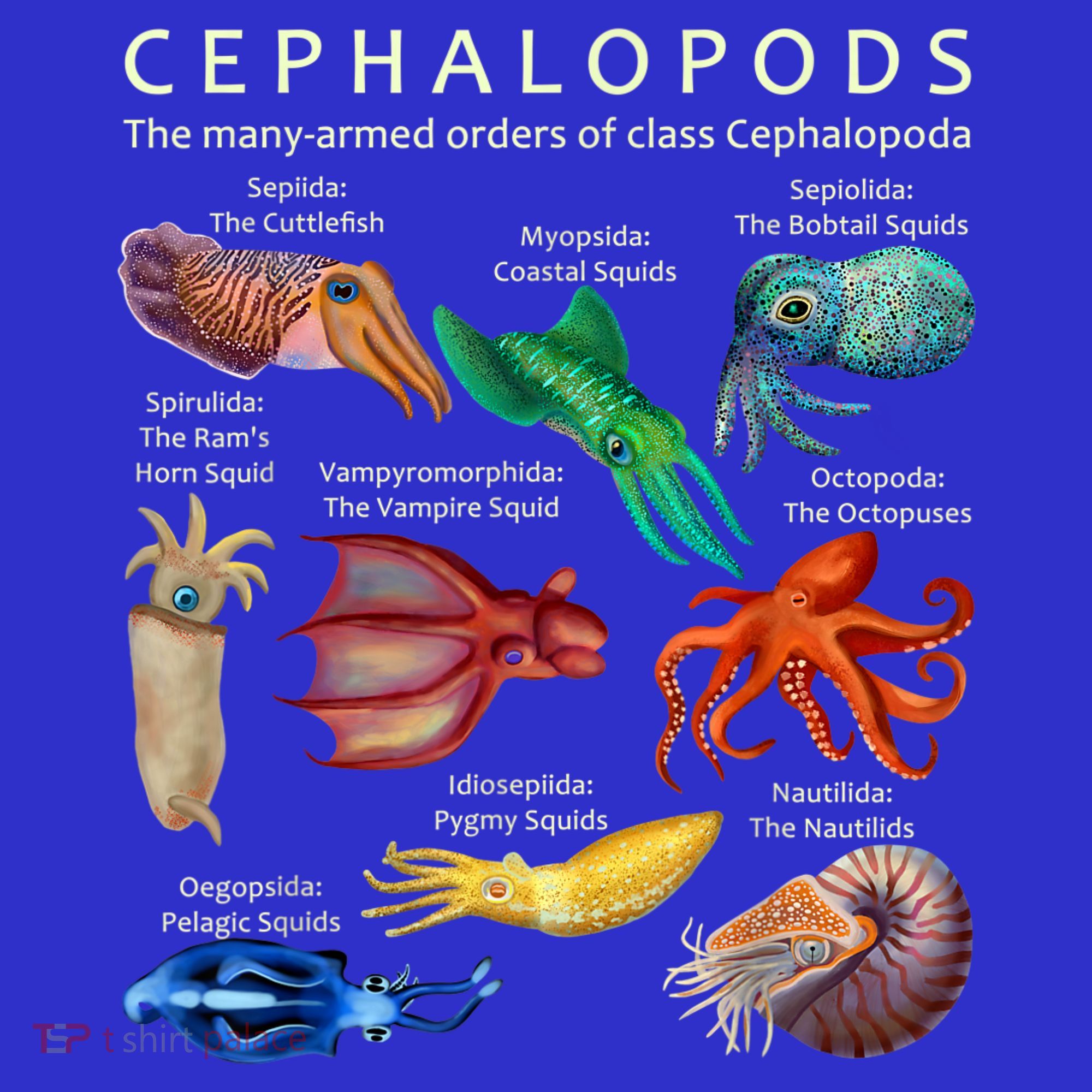 The Cephalopod: Octopus, Squid, Cuttlefish, And Nautilus Toddler Hoodie
