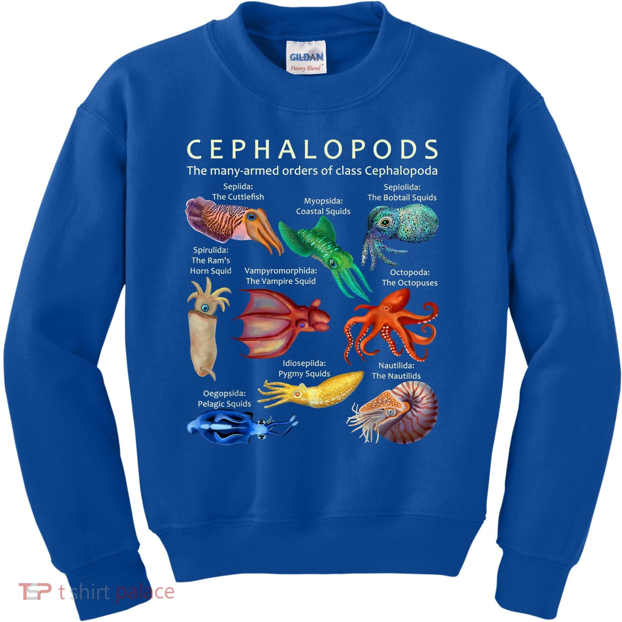 The Cephalopod: Octopus, Squid, Cuttlefish, And Nautilus Kids Sweatshirt