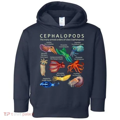 Toddler Hoodie