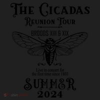 The Cicadas Reunion Summer 2024 Beanie thumb 2