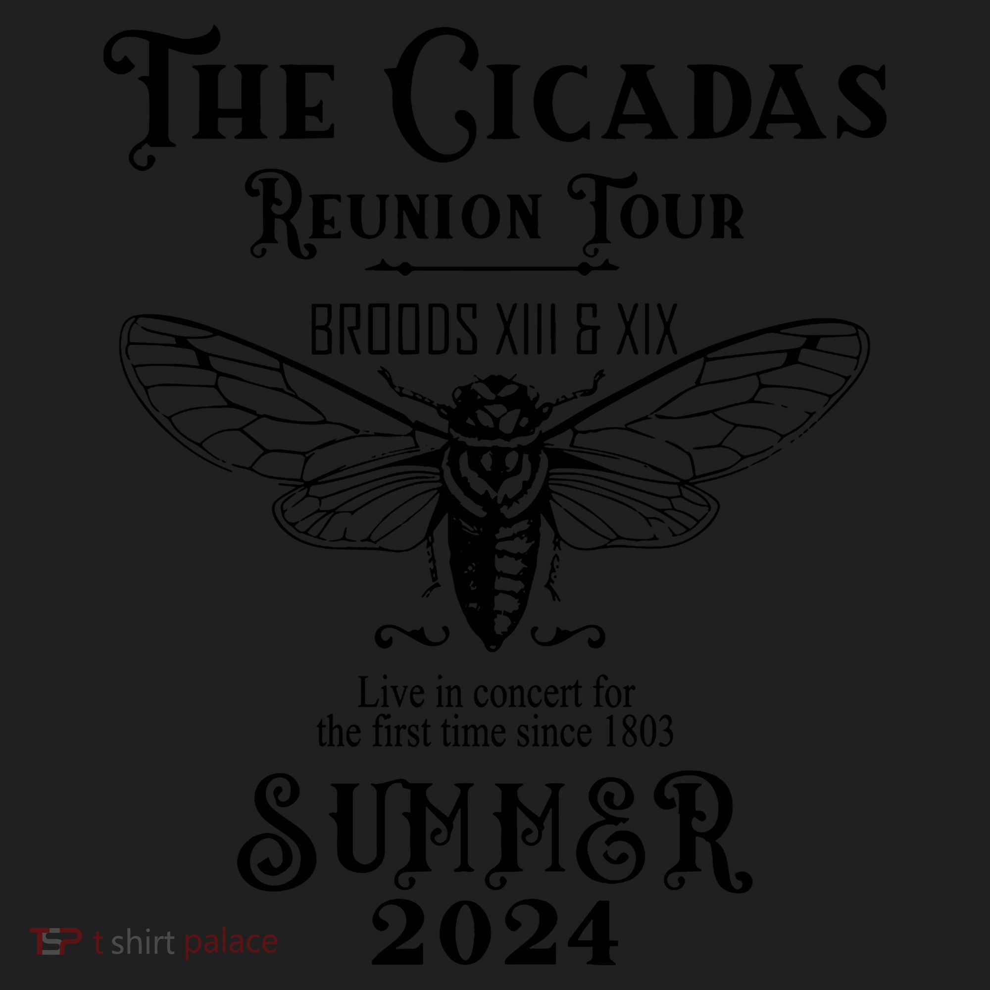 The Cicadas Reunion Summer 2024 Hat