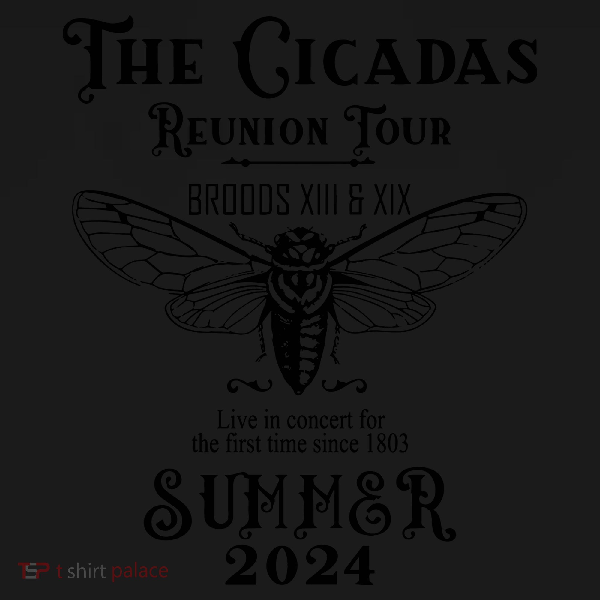 The Cicadas Reunion Summer 2024 Kids Sweatshirt