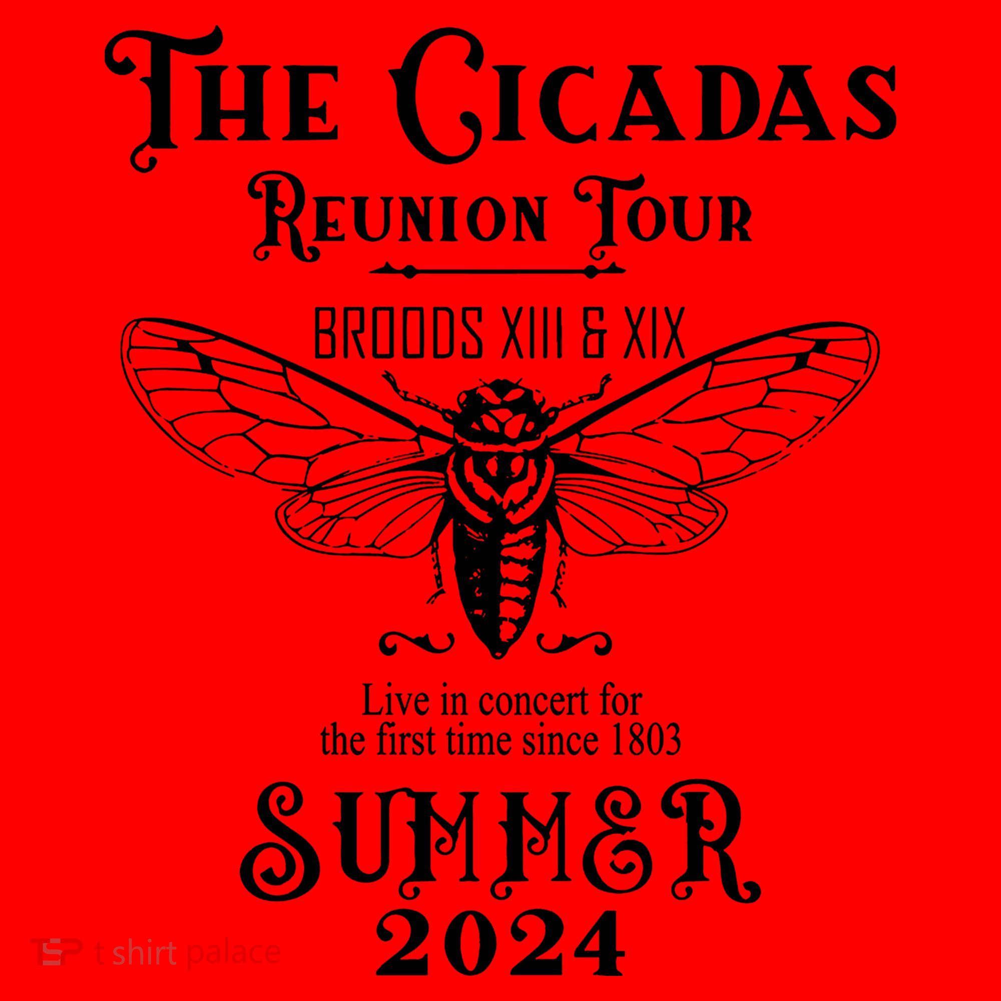 The Cicadas Reunion Summer 2024 Santa Hat