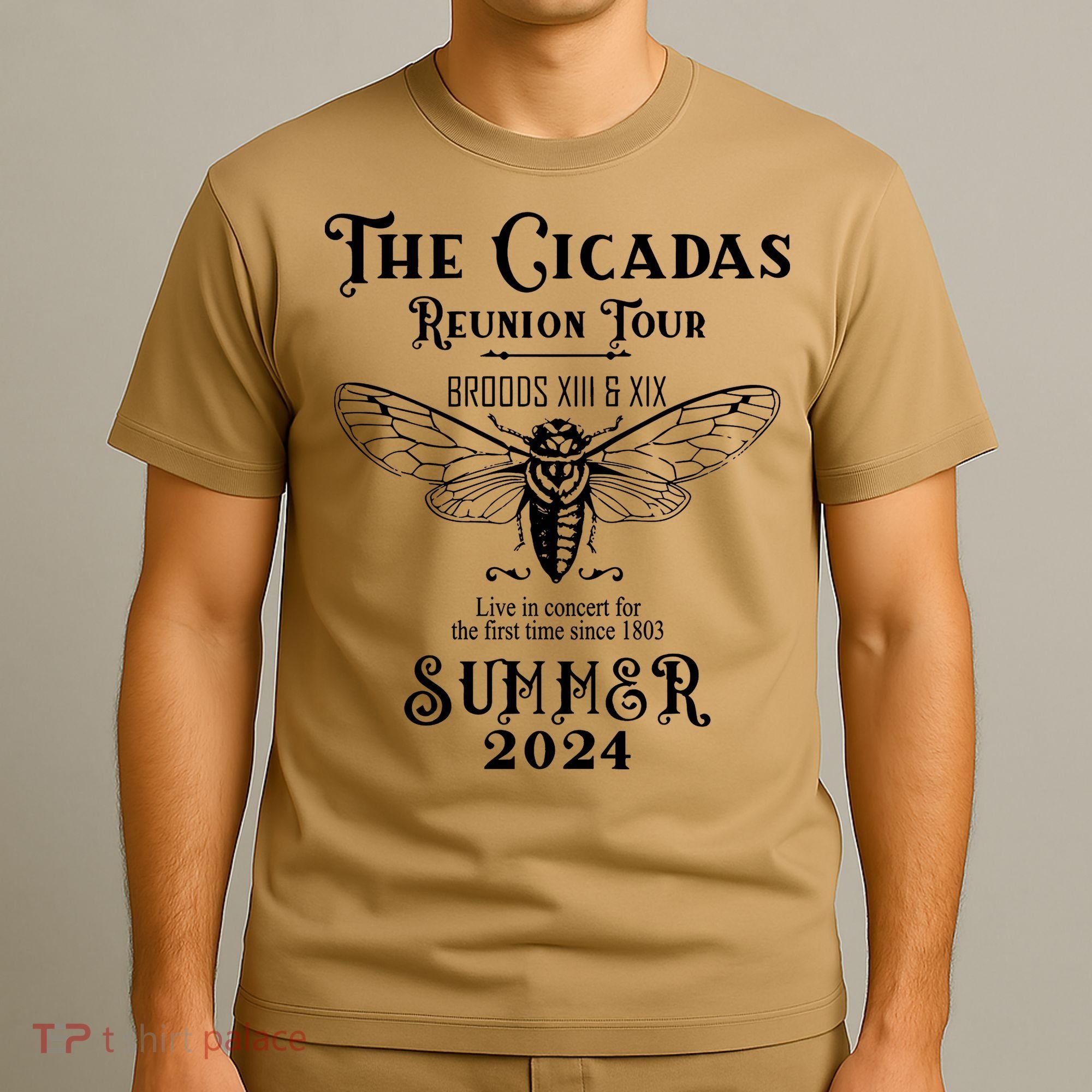 The Cicadas Reunion Summer 2024 T-Shirt
