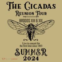 The Cicadas Reunion Summer 2024 Polo thumb 2