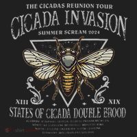 The Cicadas Reunion Cicada Nature Lover Summer 2024 Women's Sweatshirt thumb 2