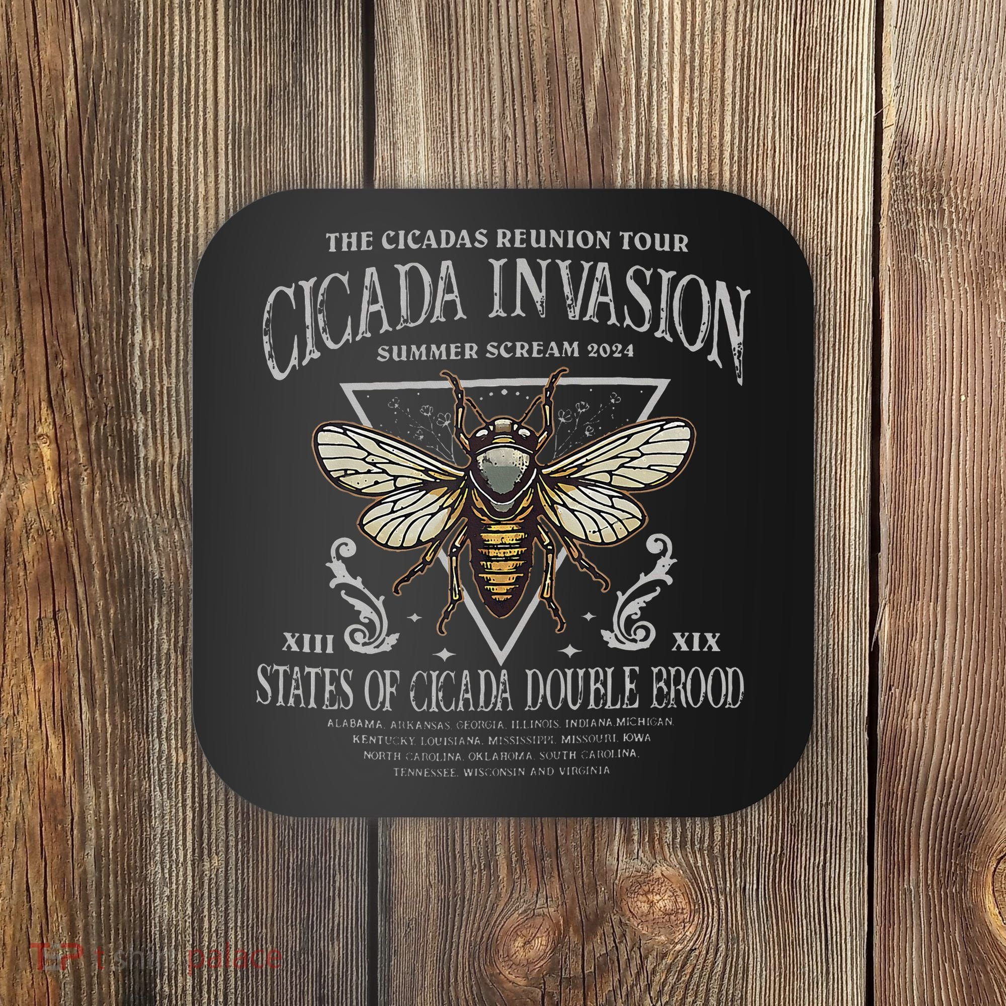 The Cicadas Reunion Cicada Nature Lover Summer 2024 Coaster