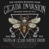 The Cicadas Reunion Cicada Nature Lover Summer 2024 Women's Hoodie thumb 2