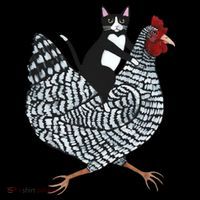 Tuxedo Cat Riding Chicken Funny Coaster thumb 2