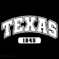 Texas Collegiate Style 1845 Toddler Hoodie thumb 2
