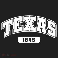 Texas Collegiate Style 1845 Zone Performance Long-Sleeve T-Shirt thumb 2