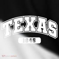Texas Collegiate Style 1845 Toddler Fine Jersey T-Shirt thumb 2