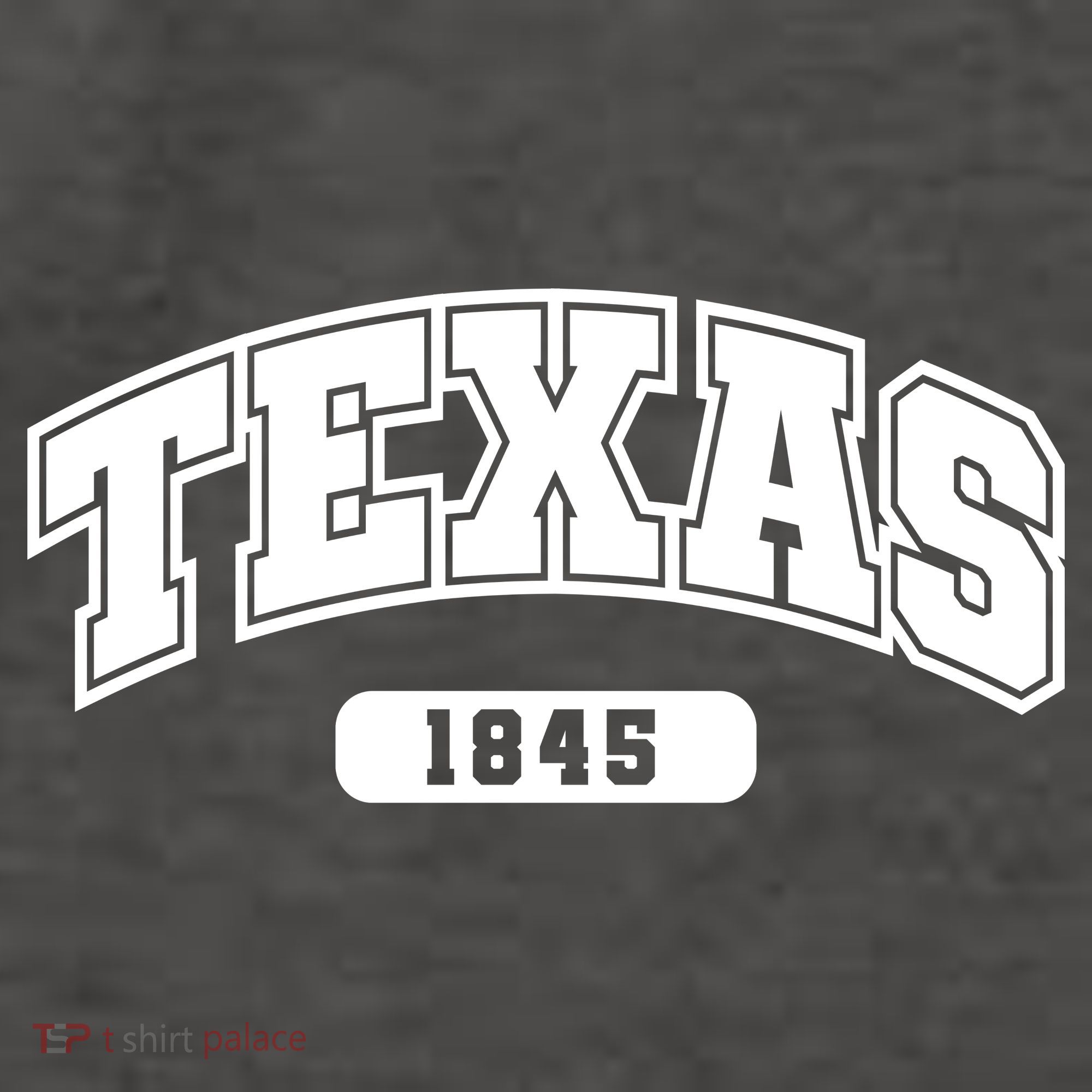 Texas Collegiate Style 1845 Vector Backpack