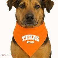 Texas Collegiate Style 1845 USA-Made Doggie Bandana thumb 1