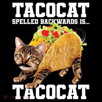 Taco Cat Spelled Backwards Is Tacocat Meme Silly Cat Lover Coffee Mug