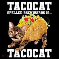 Taco Cat Spelled Backwards Is Tacocat Meme Silly Cat Lover Coffee Mug thumb 5