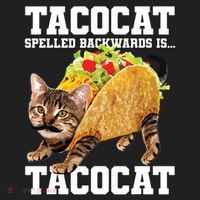 Taco Cat Spelled Backwards Is Tacocat Meme Silly Cat Lover Hat thumb 2