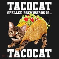 Taco Cat Spelled Backwards Is Tacocat Meme Silly Cat Lover Kids Sweatshirt thumb 2