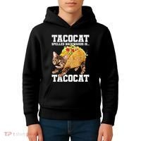 Taco Cat Spelled Backwards Is Tacocat Meme Silly Cat Lover Kids Hoodie thumb 4