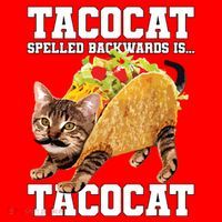Taco Cat Spelled Backwards Is Tacocat Meme Silly Cat Lover Santa Hat thumb 1