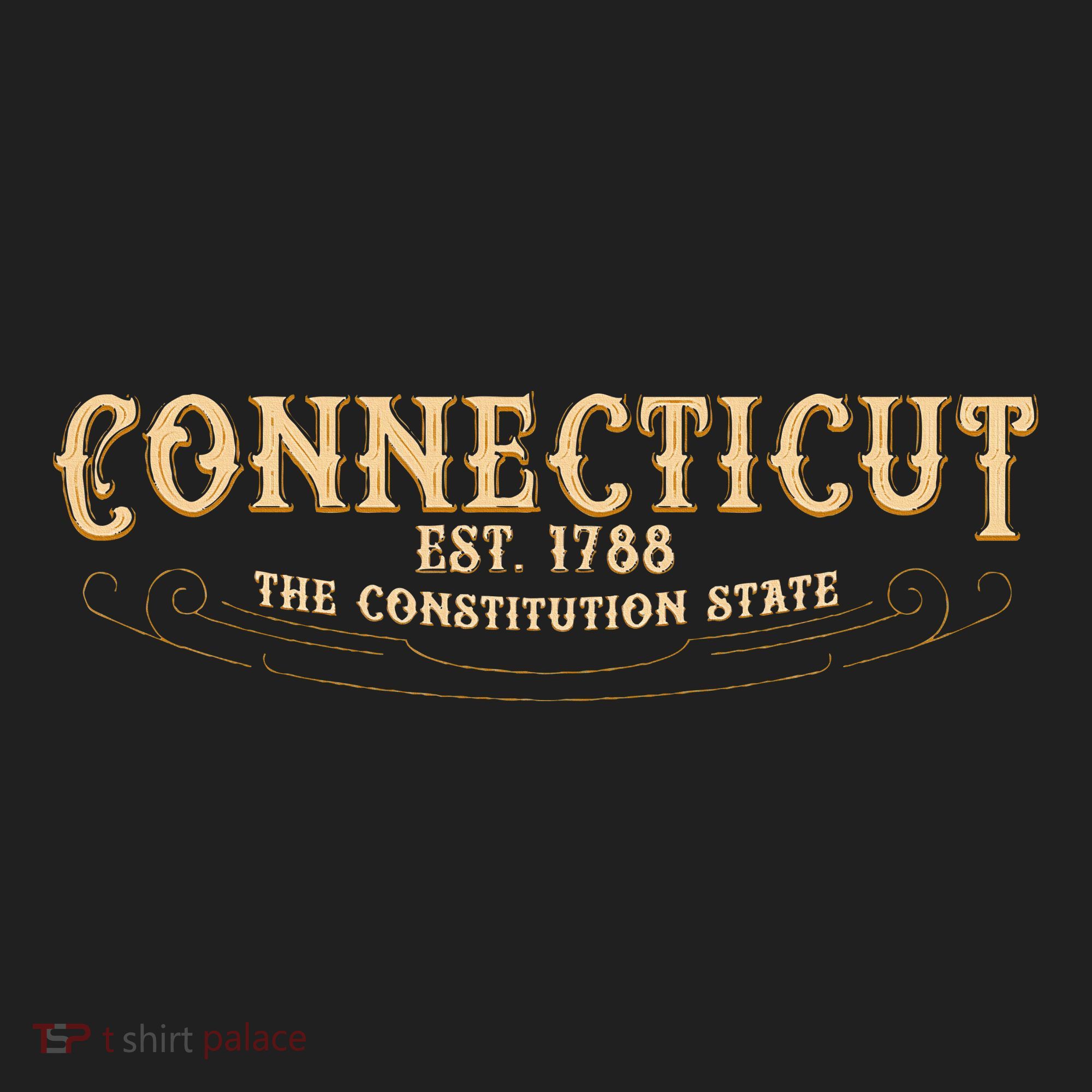 The Constitution State Connecticut Tumbler
