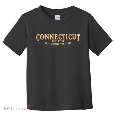 The Constitution State Connecticut Toddler T-Shirt