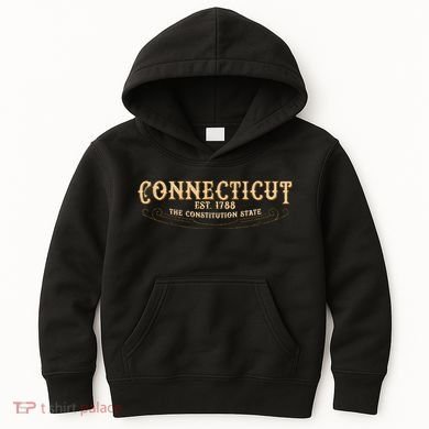 The Constitution State Connecticut Kids Hoodie