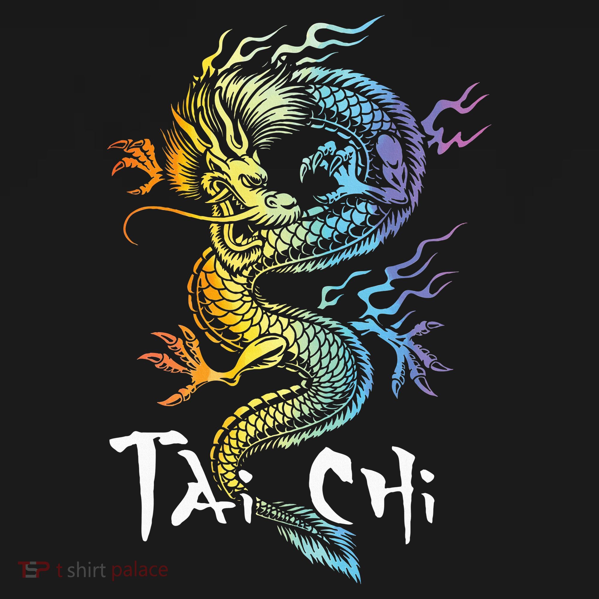 Tai Chi Spiritual Wellness Meditation Qi Gong Instructor T-Shirt