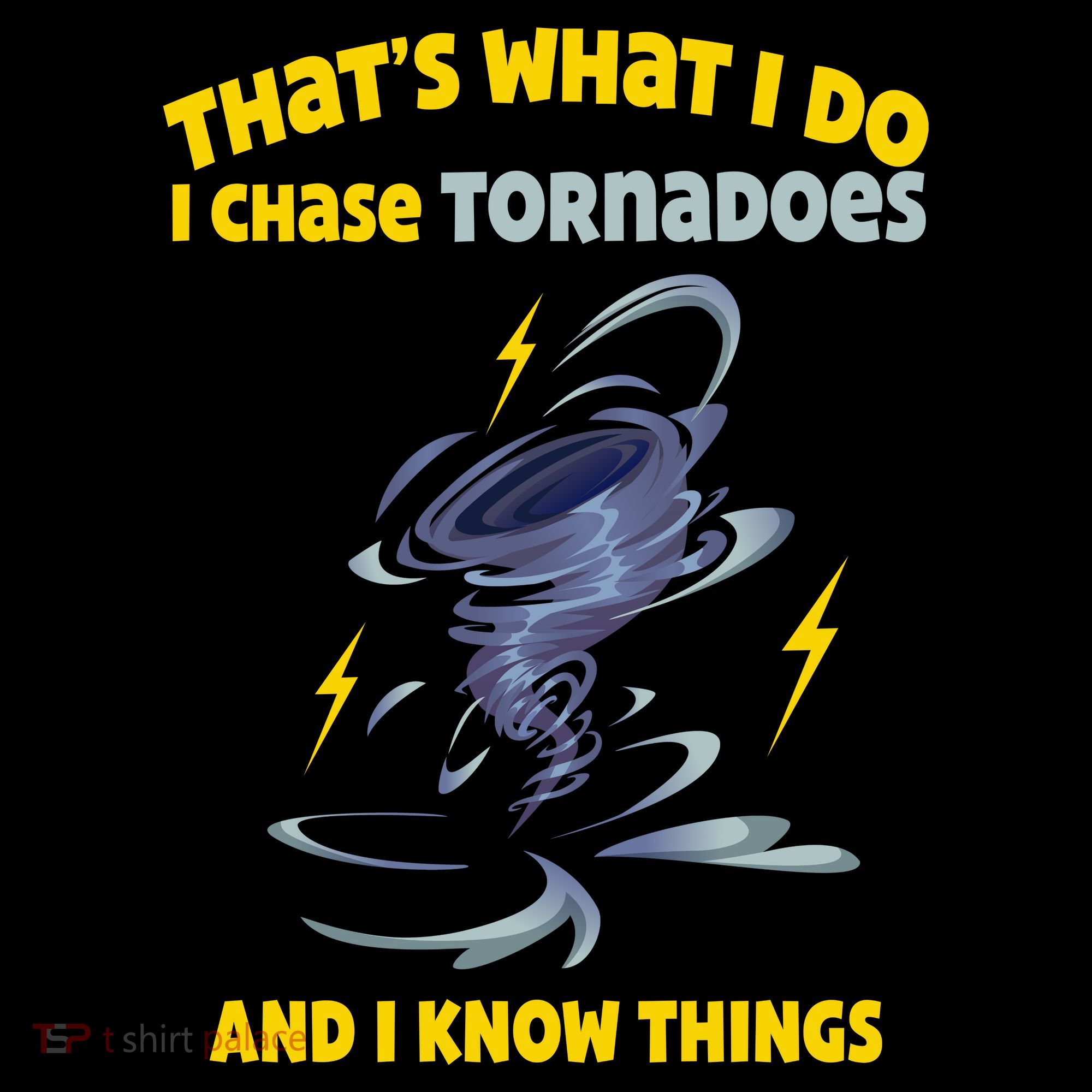 Tornado Chaser Storm Chasing Tornadoes Lover Ornament