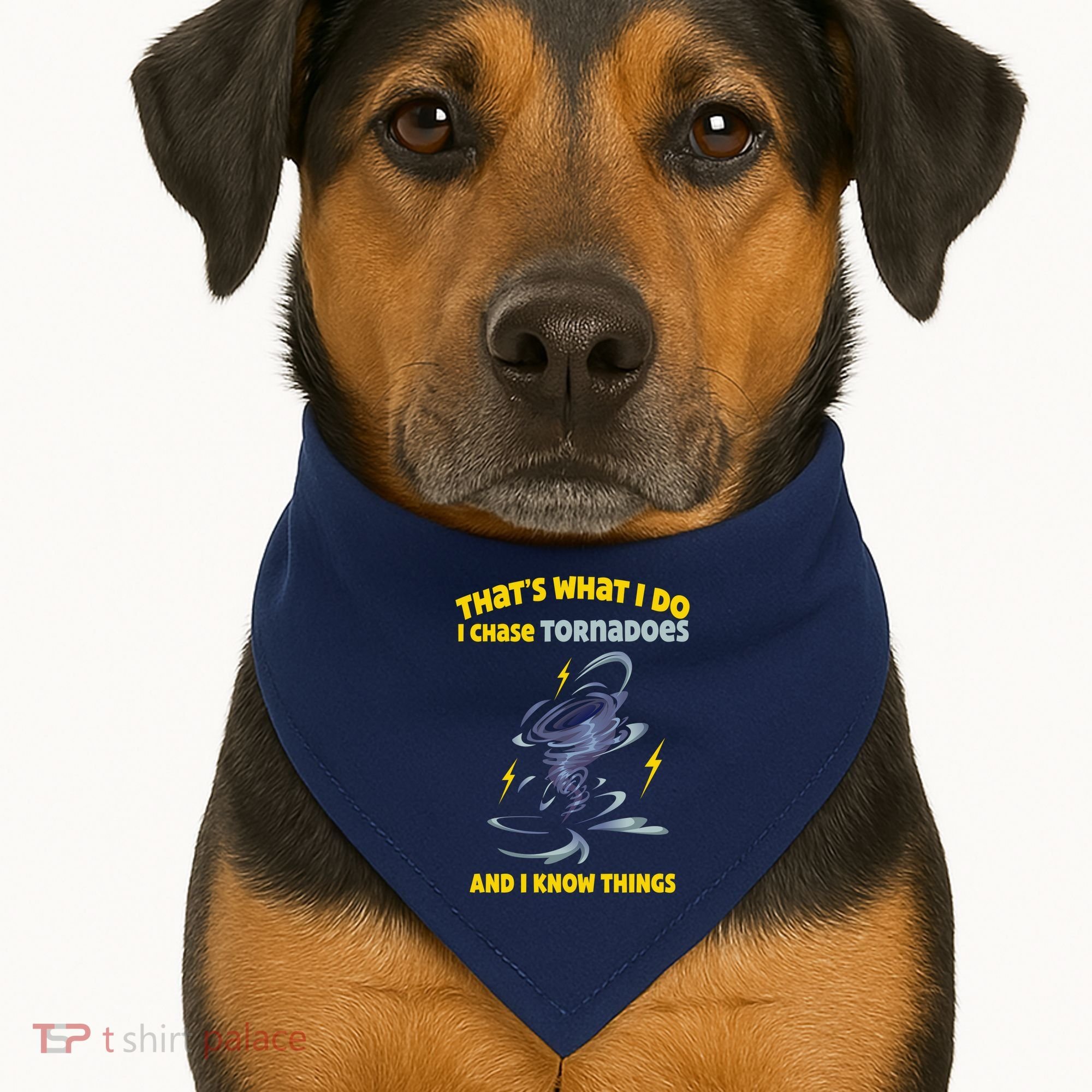 Tornado Chaser Storm Chasing Tornadoes Lover USA-Made Doggie Bandana