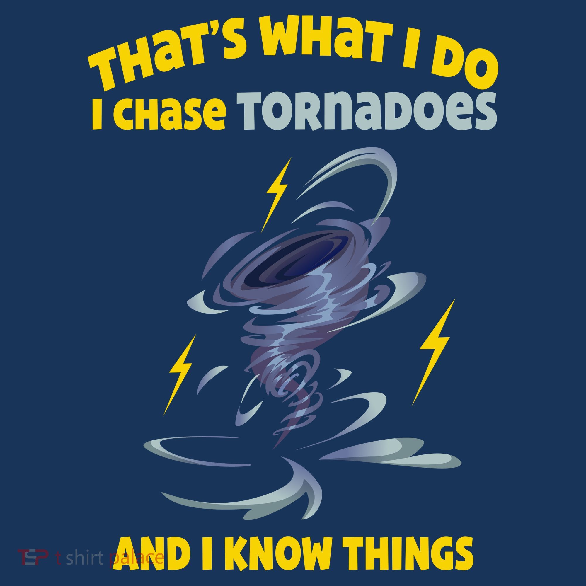 Tornado Chaser Storm Chasing Tornadoes Lover Beanie