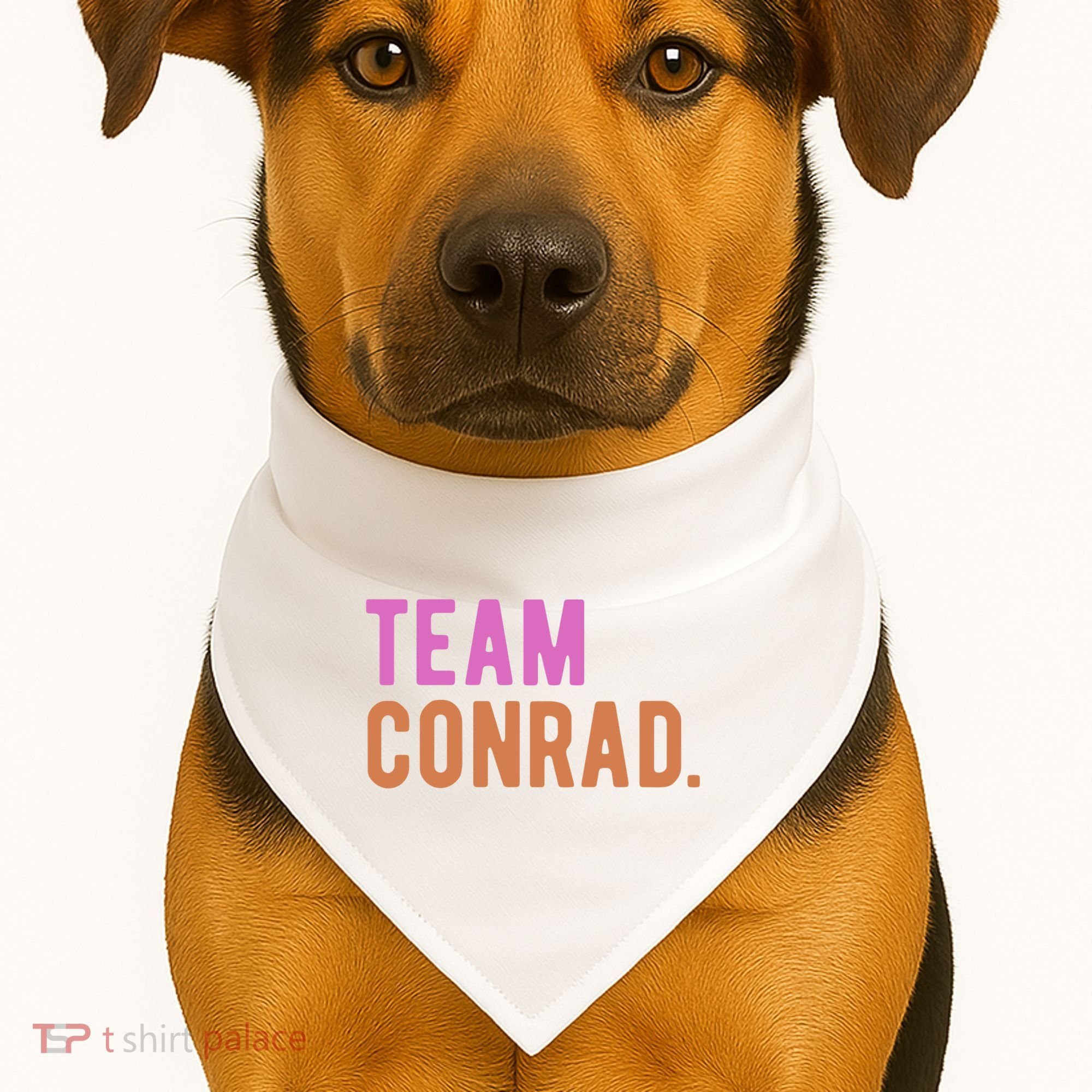 Team Conrad USA-Made Doggie Bandana