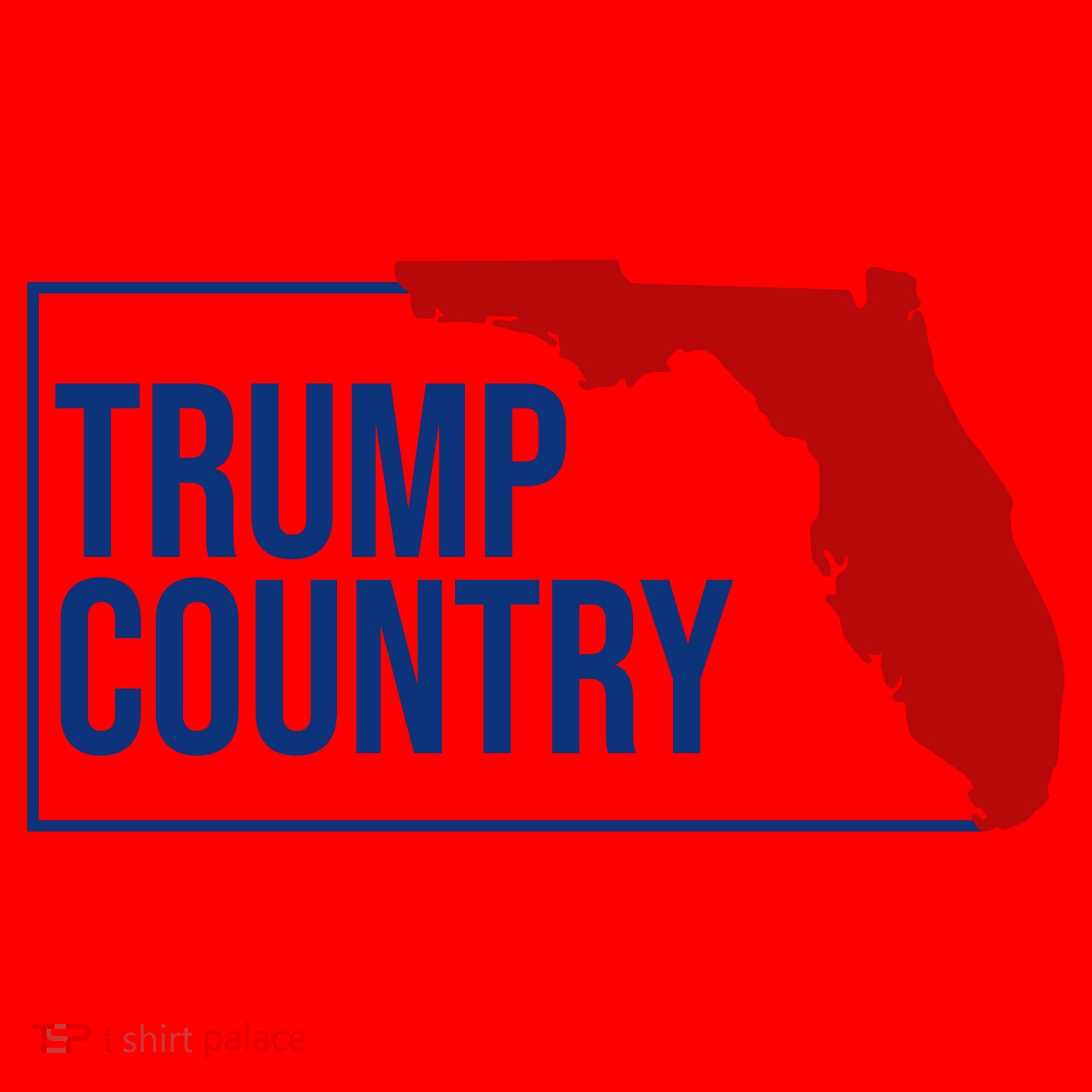 Trump Country Santa Hat