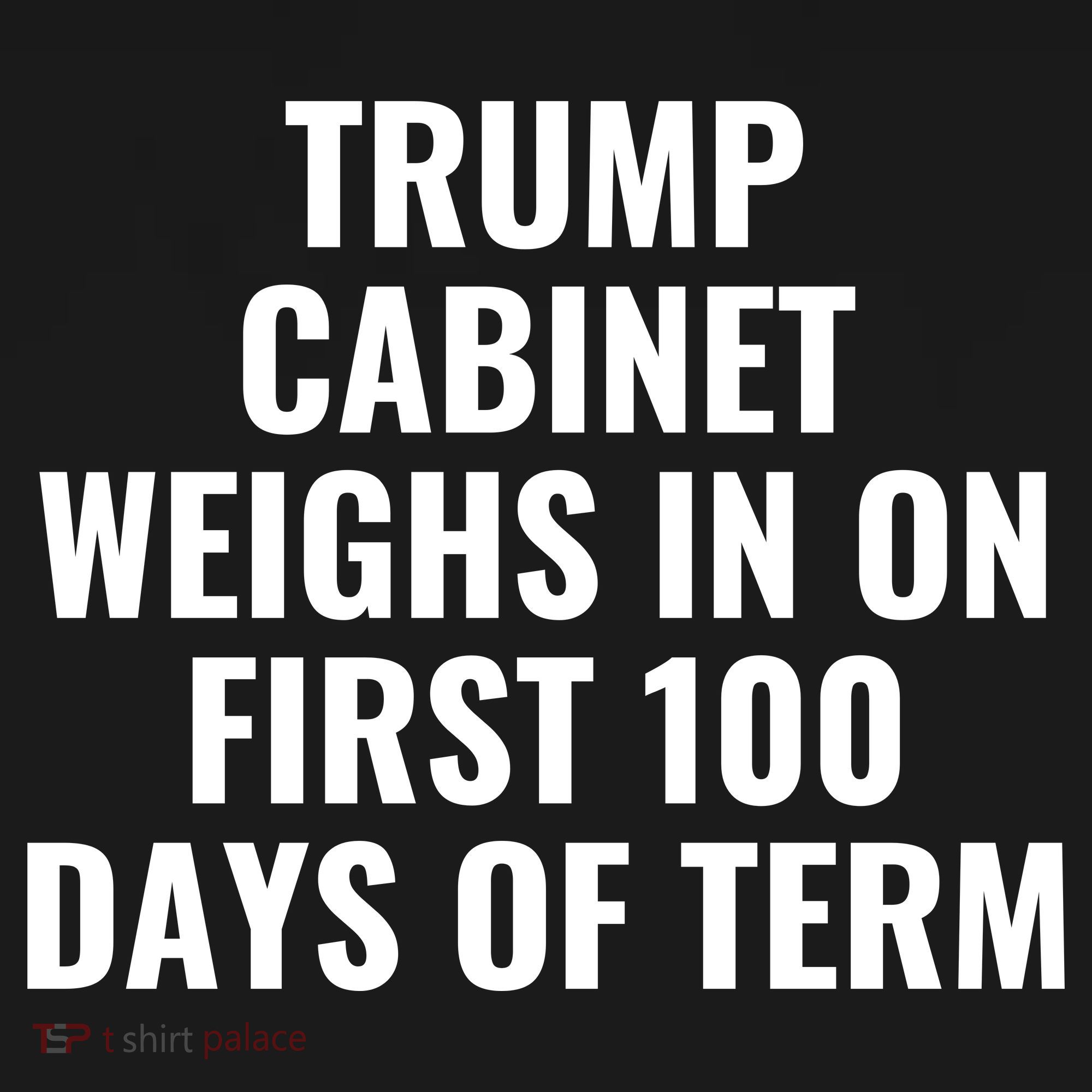 Trump Cabinet Weighs In On First 100 Days Of Term Backpack