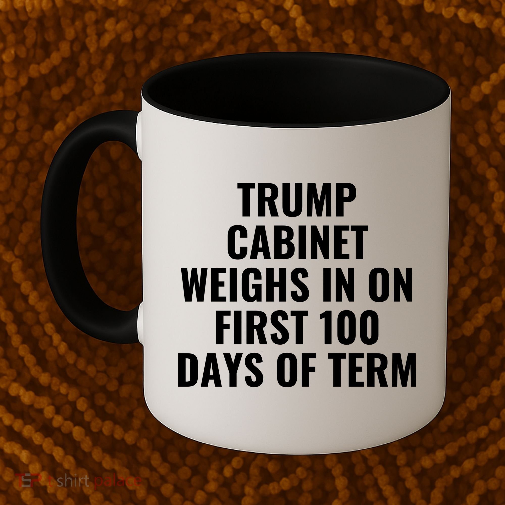 Trump Cabinet Weighs In On First 100 Days Of Term Coffee Mug