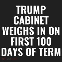 Trump Cabinet Weighs In On First 100 Days Of Term Beanie thumb 2