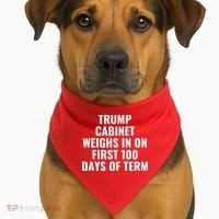 Trump Cabinet Weighs In On First 100 Days Of Term USA-Made Doggie Bandana thumb 1