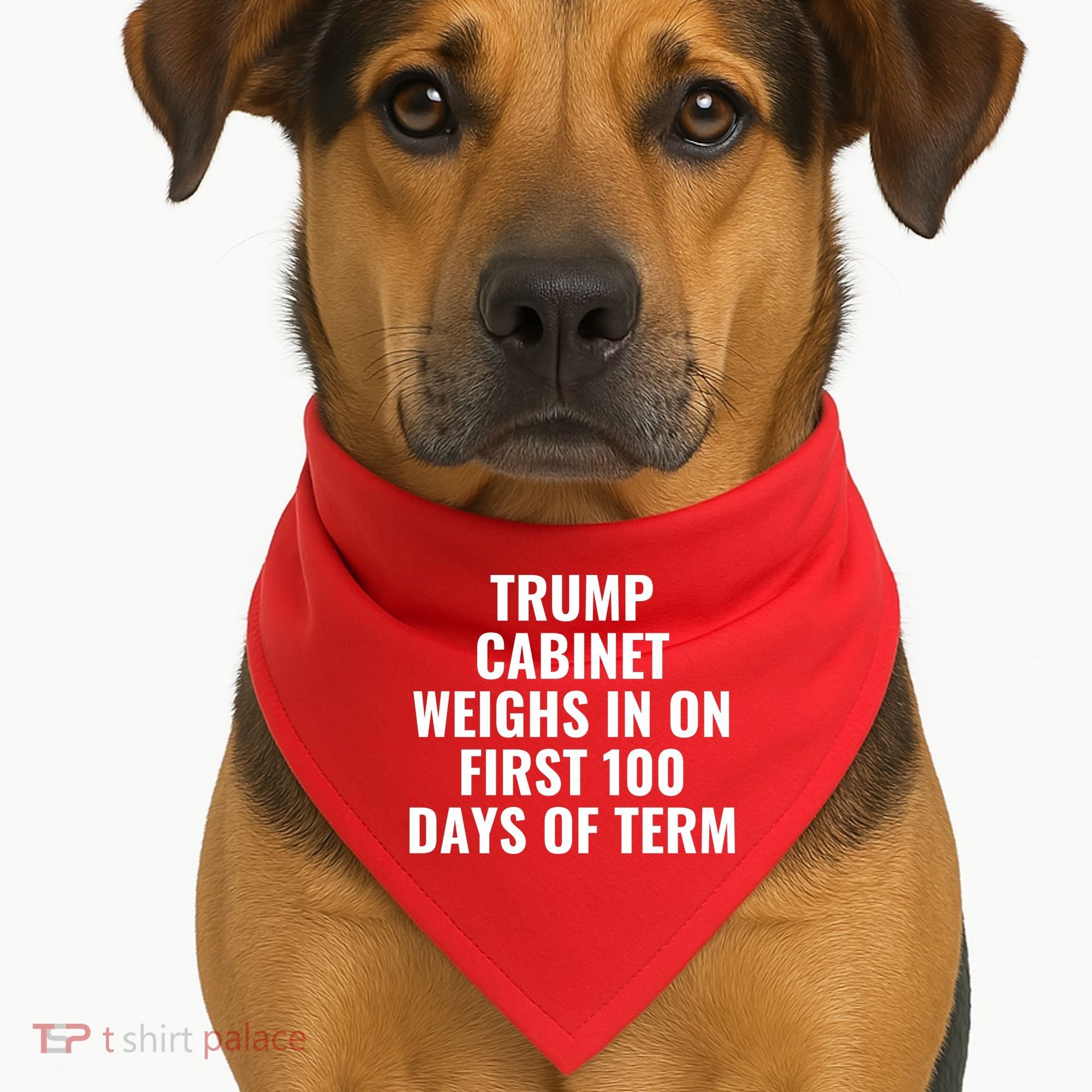 Trump Cabinet Weighs In On First 100 Days Of Term USA-Made Doggie Bandana
