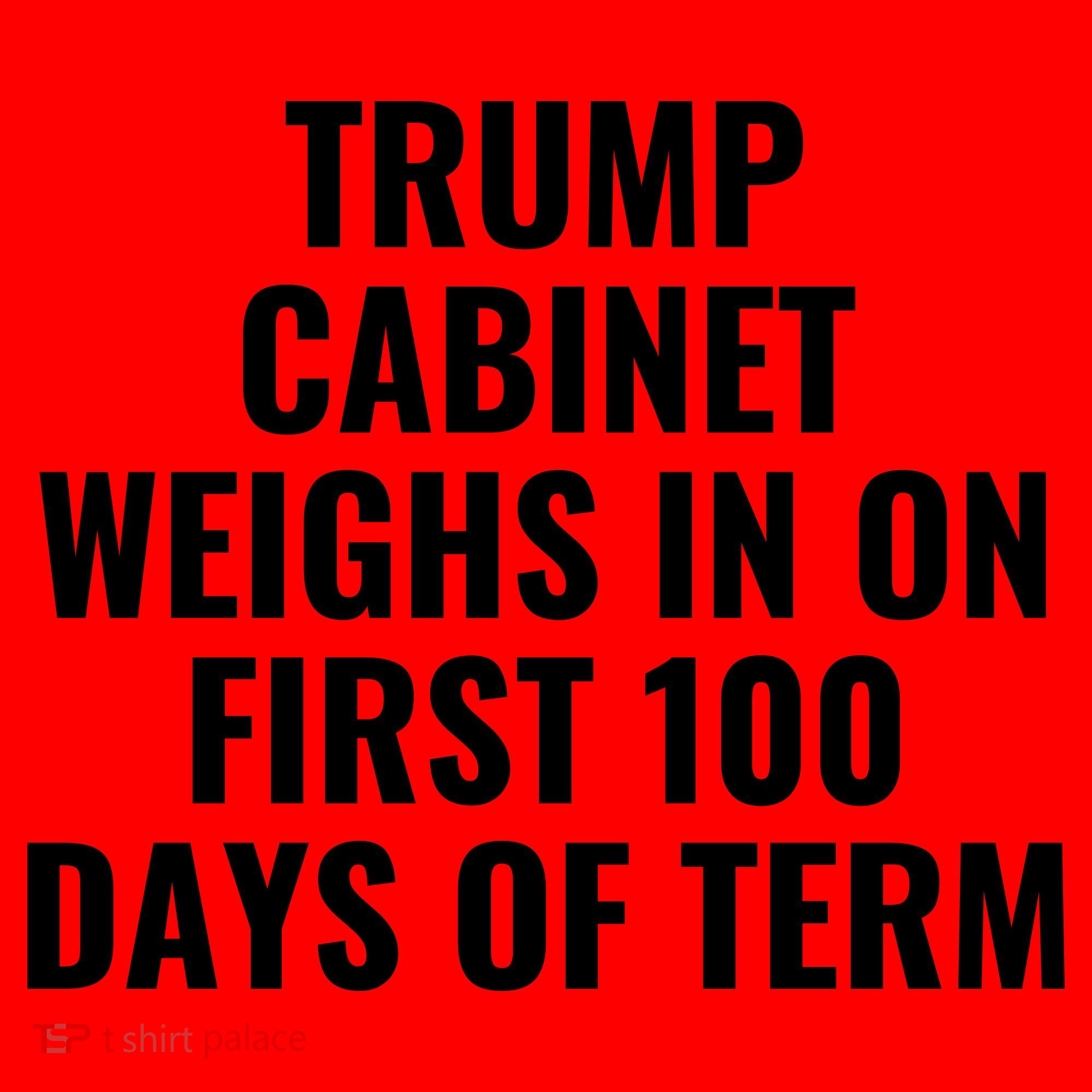 Trump Cabinet Weighs In On First 100 Days Of Term Santa Hat