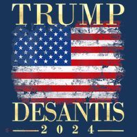 Trump Desantis 2024 Vintage Flag T-Shirt thumb 7