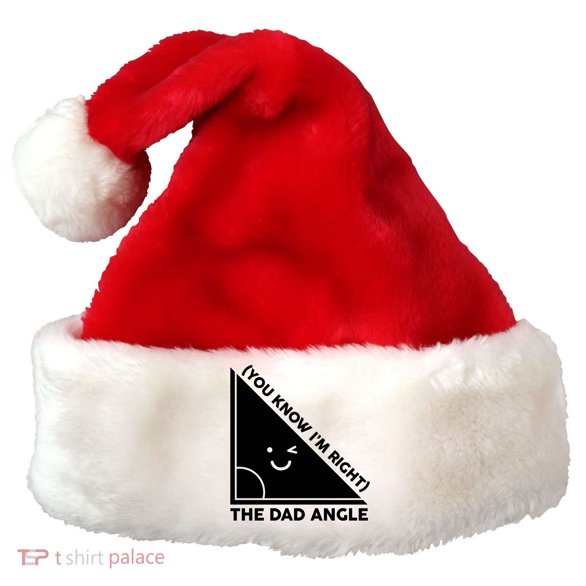 The Dad Angle You Know I'm Right Matching Family Shirts Santa Hat